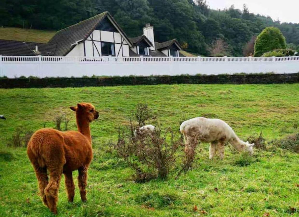 Skyline Mountain View Lodge Up To 16 People Ροτόρυα Εξωτερικό φωτογραφία
